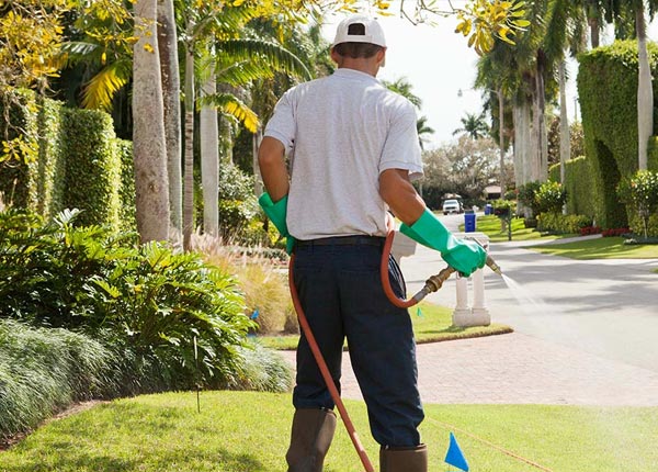 About Morris Plains NJ Pest Control Pros